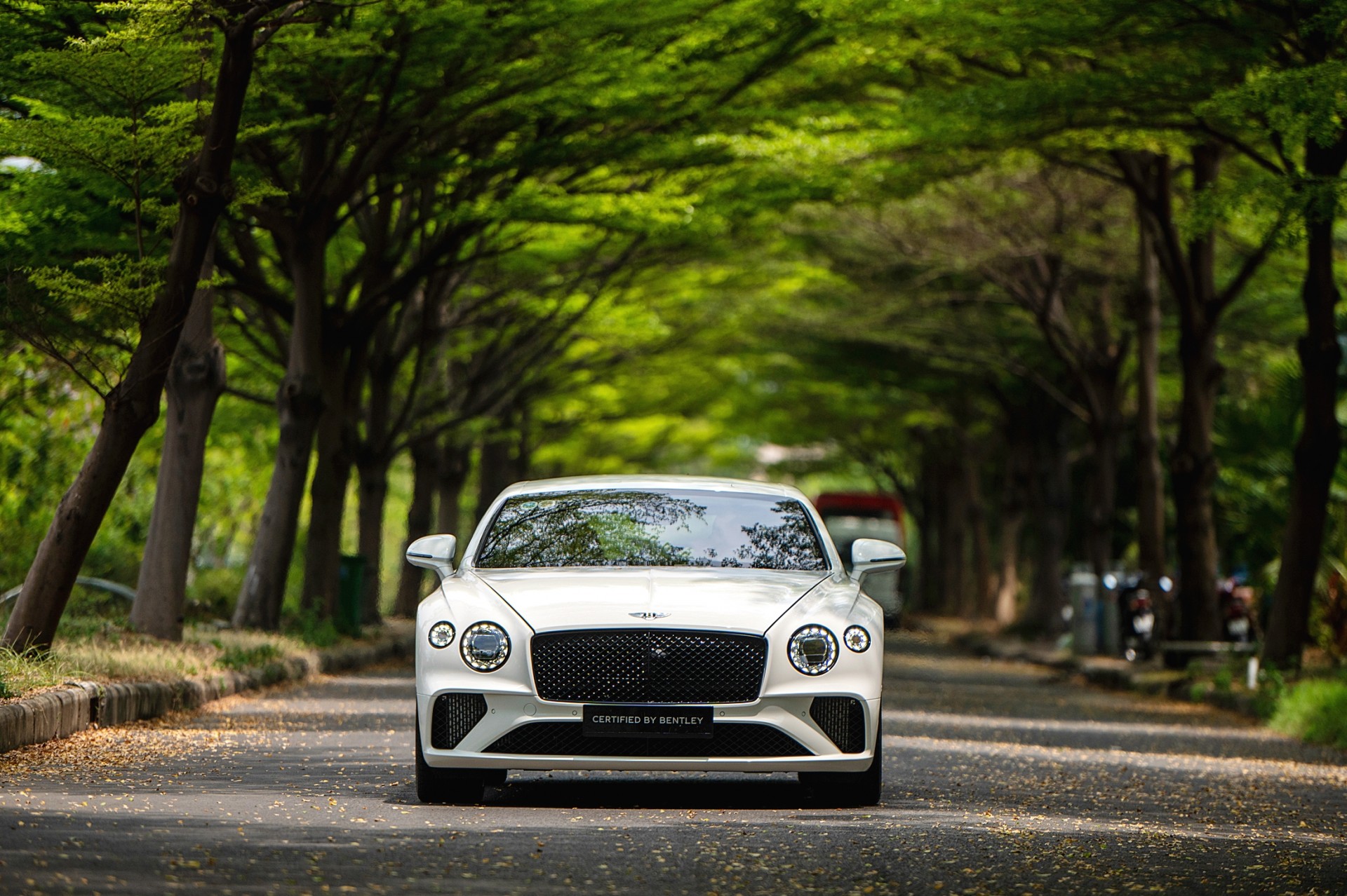 Bentley ra mắt dịch vụ kinh doanh xe đã qua sử dụng tại Việt Nam Bentley ra mắt dịch vụ kinh doanh xe đã qua sử dụng tại Việt Nam