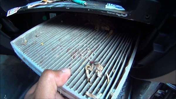 Lọc gió điều hòa ô tô có giặt được không? Không nên giặt lọc gió điều hòa ô tô khi bị bẩn.