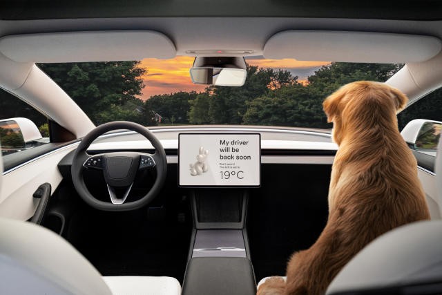 Chủ xe Tesla thoát chết trong gang tấc nhờ cảnh giác với hệ thống tự lái Chủ xe Tesla thoát chết trong gang tấc nhờ cảnh giác với hệ thống tự lái