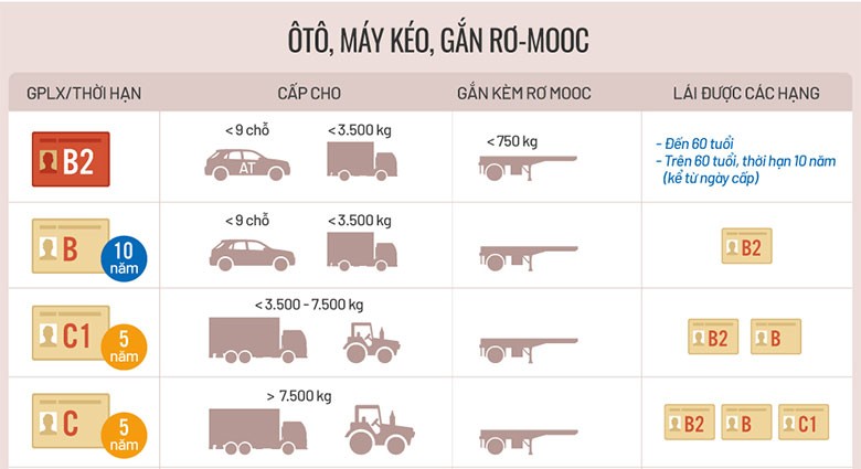 Độ tuổi học bằng C theo quy định ở Việt Nam Phân loại bằng lái xe theo quy định năm 2024.