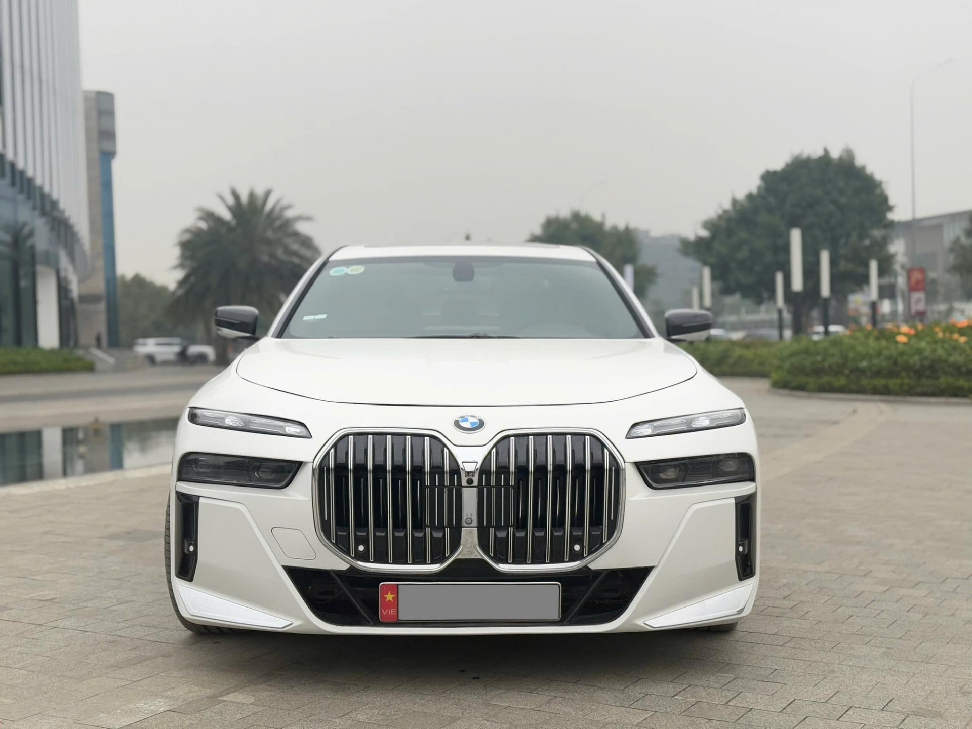 BMW 750Li 2010 BMW 750Li 2010