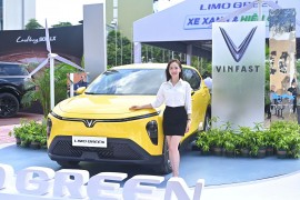 Khách hàng tại Hà Nội chia sẻ cảm xúc trong ngày nhận xe Limo Green