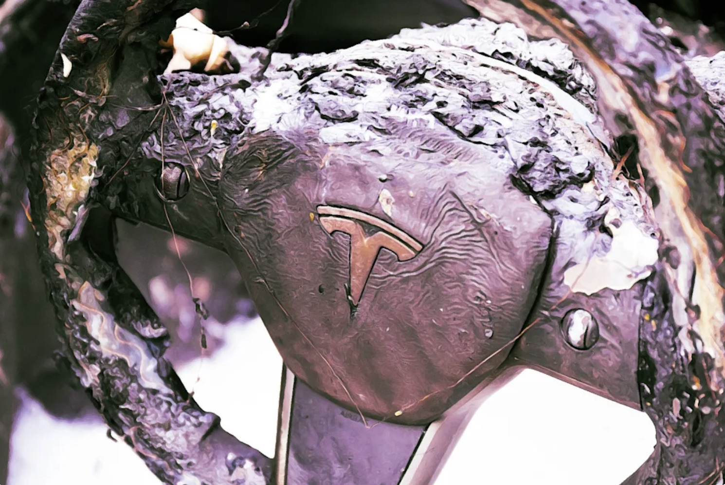 Xe điện Tesla cháy sau tai nạn, một người đàn ông và hai đứa trẻ thiệt mạng Xe điện Tesla cháy sau tai nạn