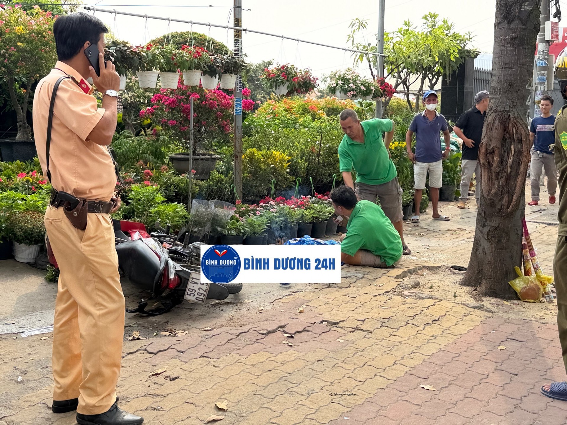 Tổng hợp tin tức tai nạn giao thông mới nhất ngày hôm nay 30/1/2026 Tổng hợp tin tức tai nạn giao thông mới nhất ngày hôm nay 30/1/2026