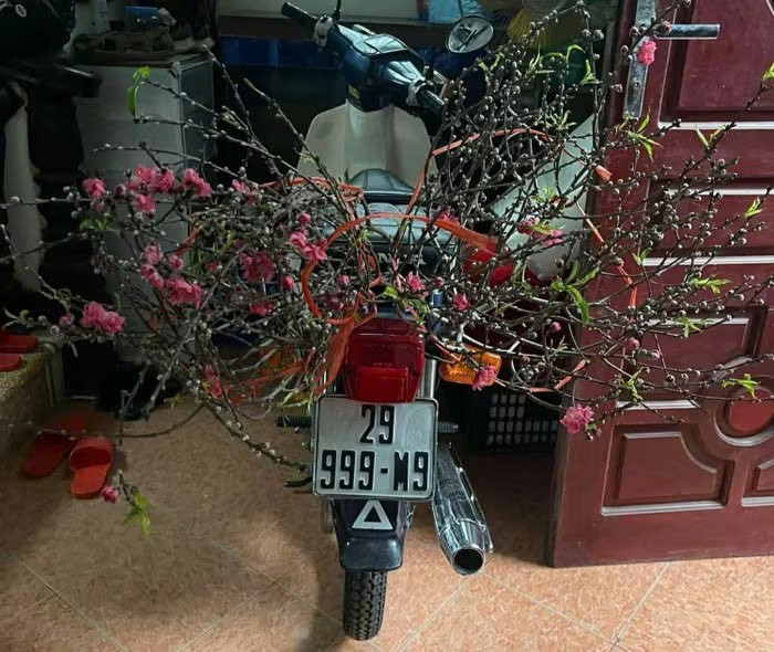Honda Cub 82 biển 3 số 9, trả 150 triệu chủ không bán Honda Cub 82 biển 3 số 9, trả 150 triệu chủ không bán