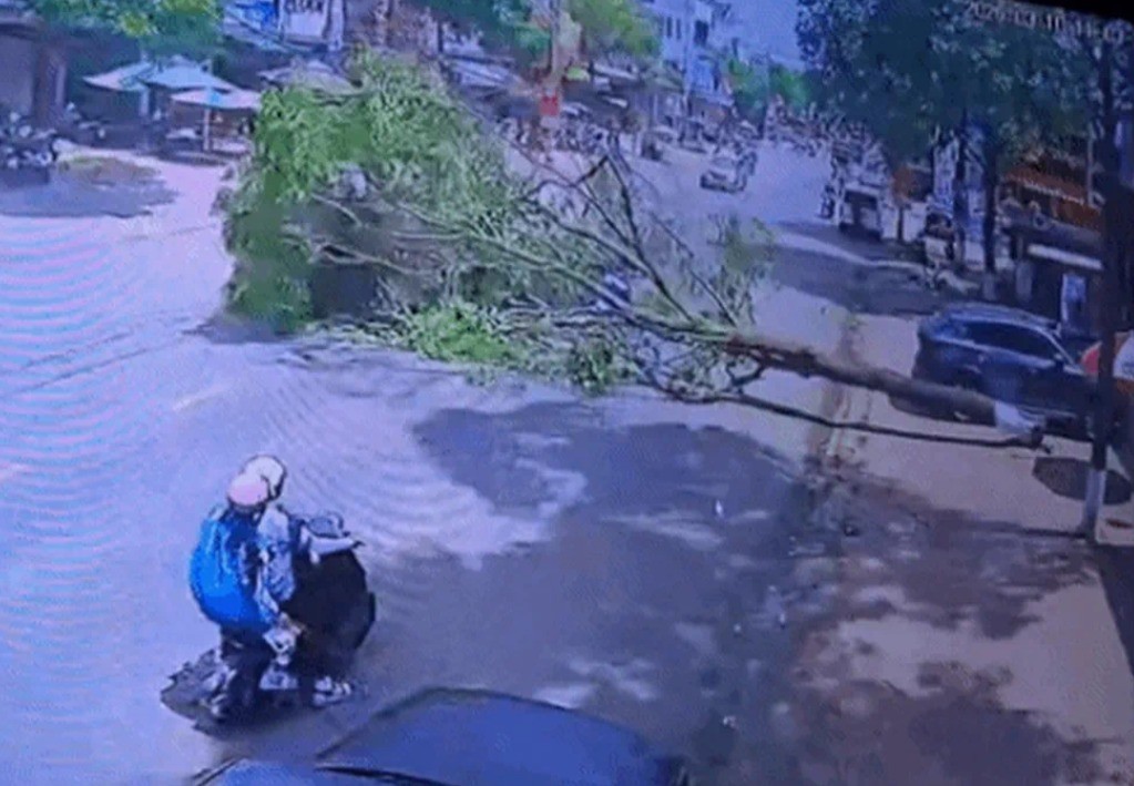 Tổng hợp tin tức tai nạn giao thông mới nhất ngày hôm nay 11/3/2026 Tổng hợp tin tức tai nạn giao thông mới nhất ngày hôm nay 11/3/2026