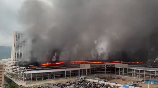 ofnews.vn