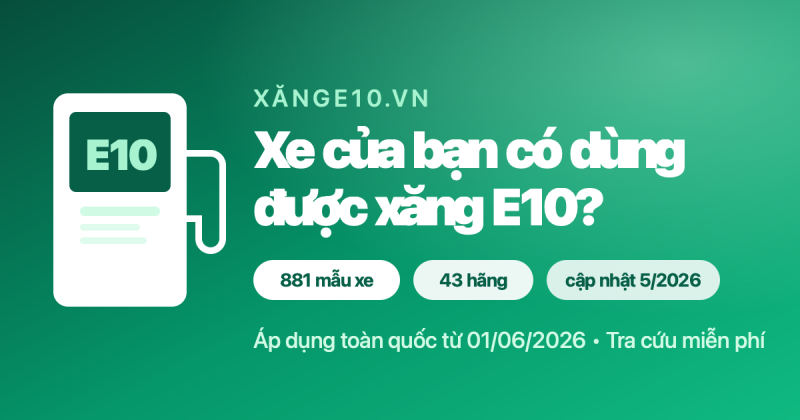 Lo ngại đổ nhầm xăng E10, một tài xế tự làm công cụ tra cứu miễn phí cho cộng đồng