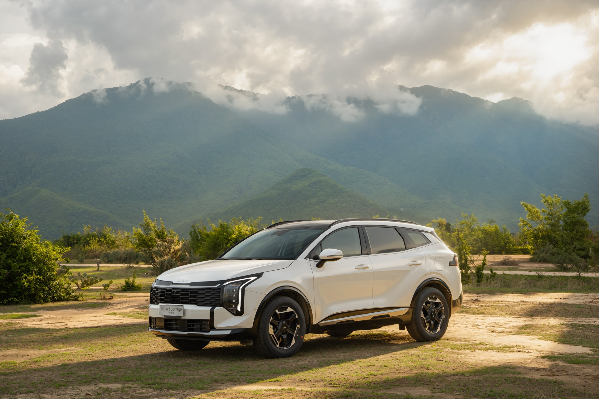 Kia chốt giá Sportage và Sorento Hybrid, cạnh tranh mạnh trong phân khúc SUV