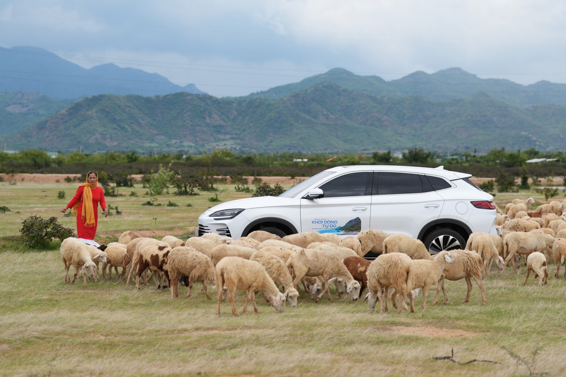 Theo dấu nắng gió Ninh Thuận cùng BYD Sealion 6