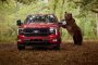 Ford thuê chú gấu nặng 360 kg 