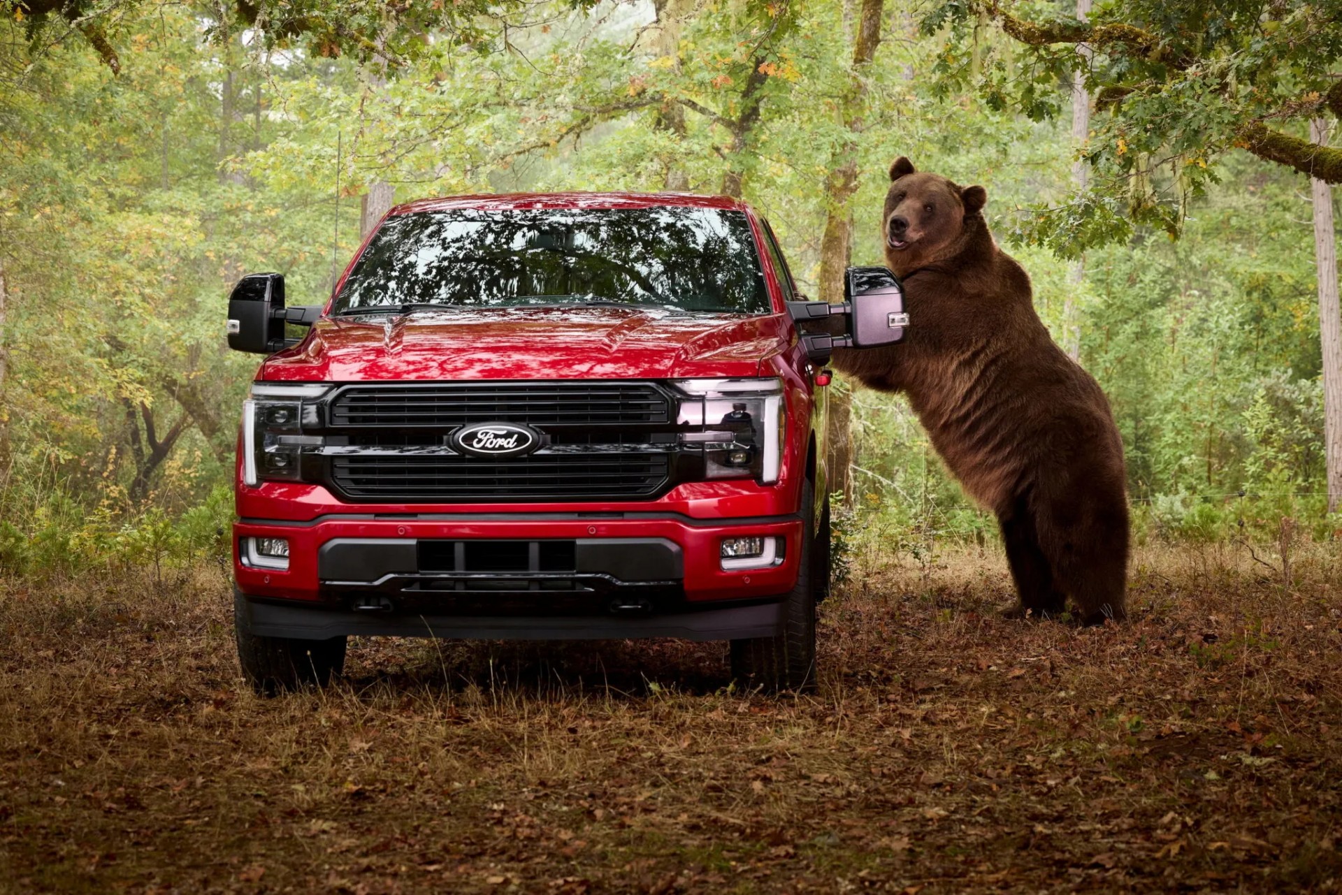 Ford thuê chú gấu nặng 360 kg "đột nhập" F-150 để trình diễn công nghệ chống trộm mới