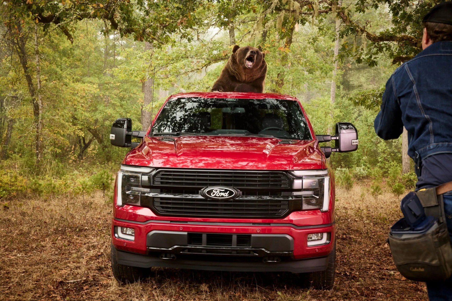 Ford thuê chú gấu nặng 360 kg Ford thuê chú gấu nặng 360 kg