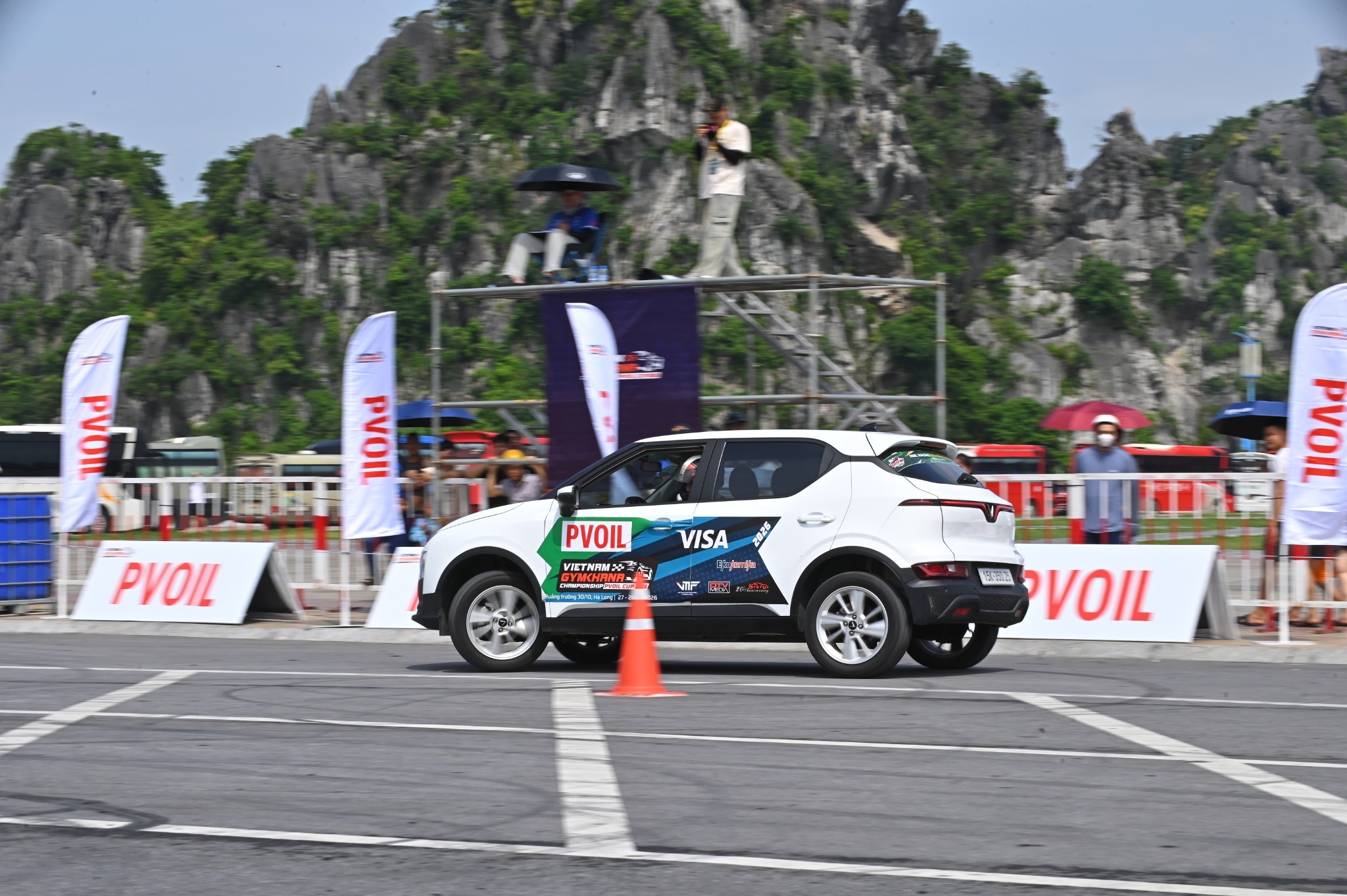 Chùm ảnh dàn 