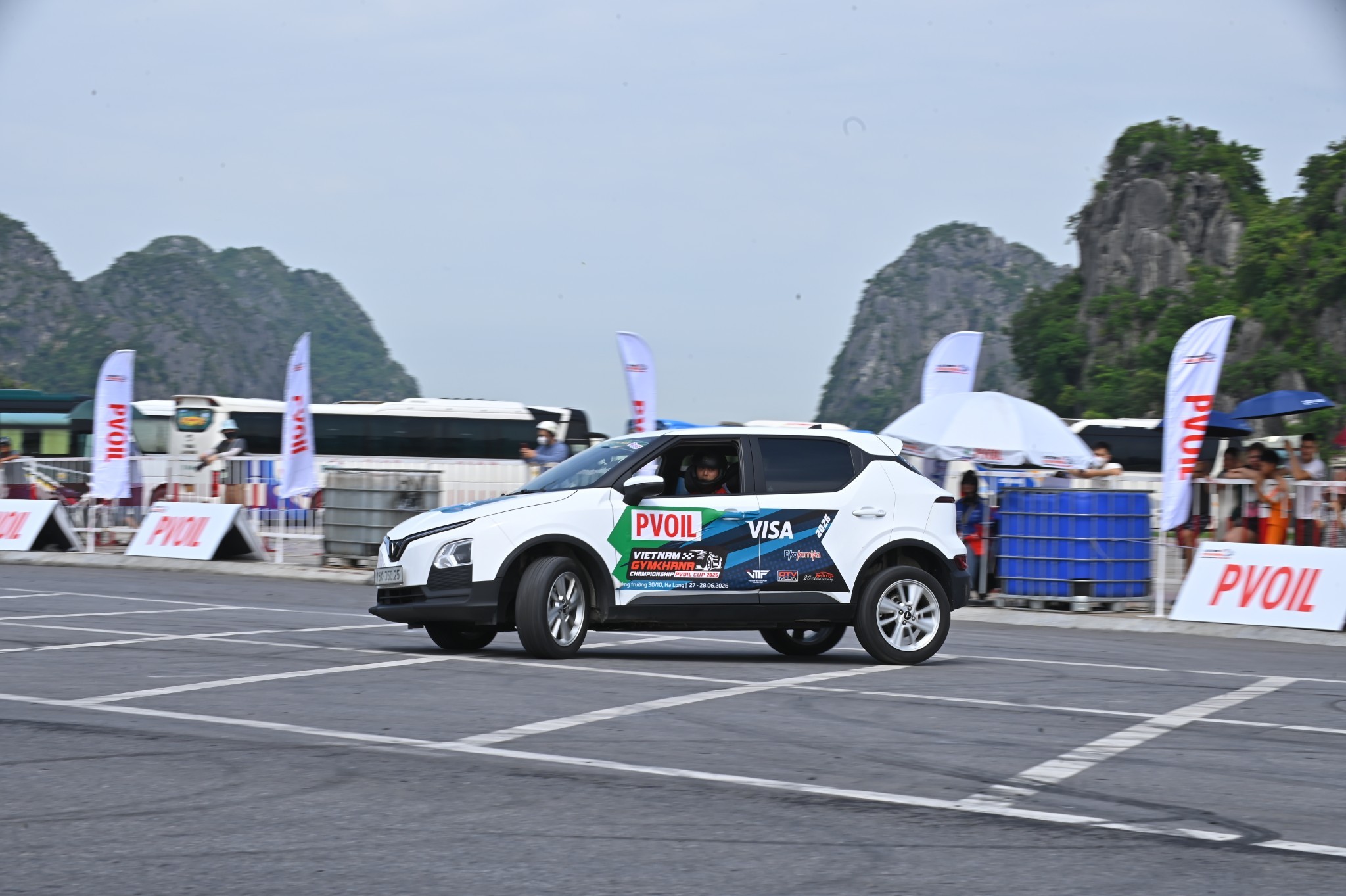 Chùm ảnh dàn 
