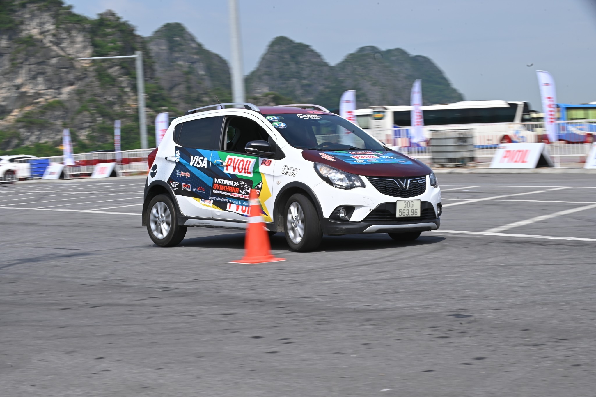 Chùm ảnh dàn 