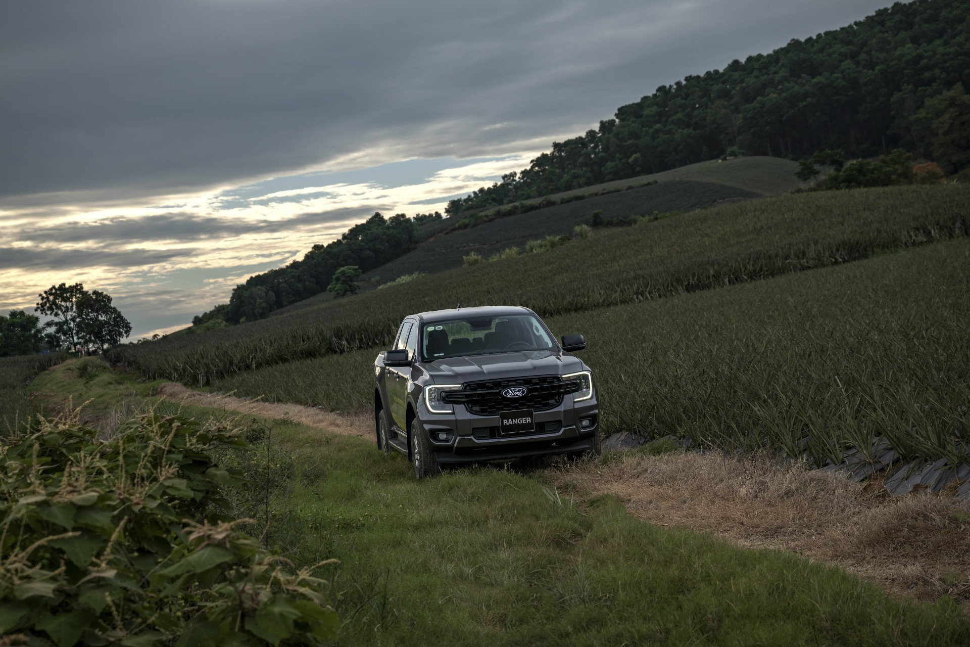 Ford Việt Nam ‘nâng tầm’ dải sản phẩm bán tải Ranger, giá bán lẻ từ 707 triệu đồng