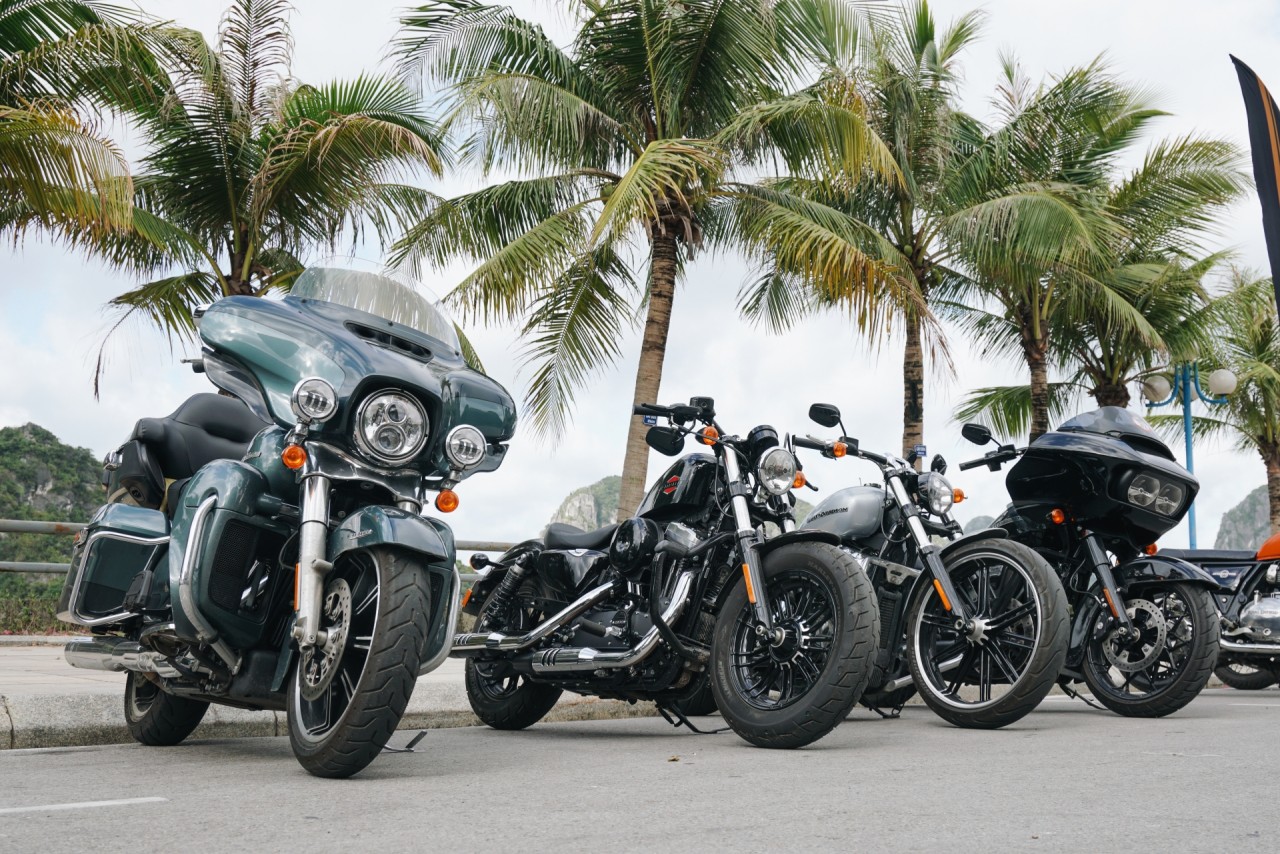 Cơ hội lái thử xe Harley Davidson cuối tuần này co hoi lai thu xe harley davidson cuoi tuan nay