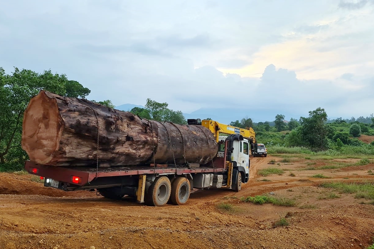 Đường đua số 6 thay đổi chướng ngại vật duong dua so 6 thay doi chuong ngai vat