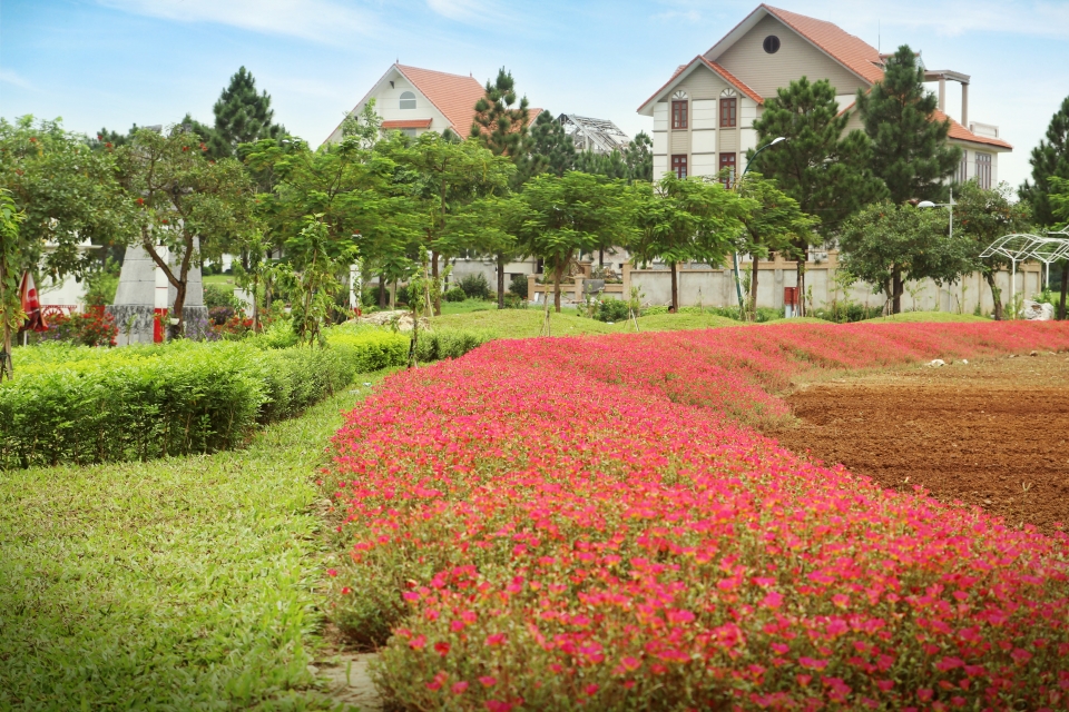 The Phoenix Garden và những giá trị “triệu đô” the phoenix garden va nhung gia tri trieu do