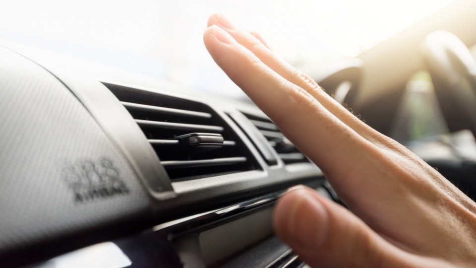 5 bí quyết sống khỏe với xe hơi