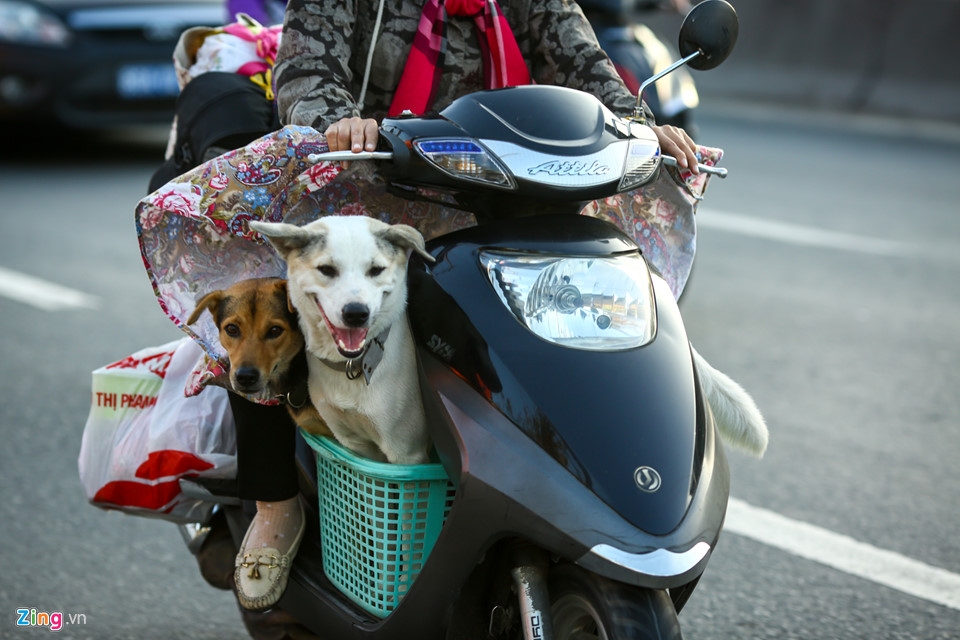 Người dân lỉnh kỉnh trở về TP Hồ Chí Minh dưới cái nắng 35 độ C nguoi dan linh kinh tro ve tp ho chi minh duoi cai nang 35 do c