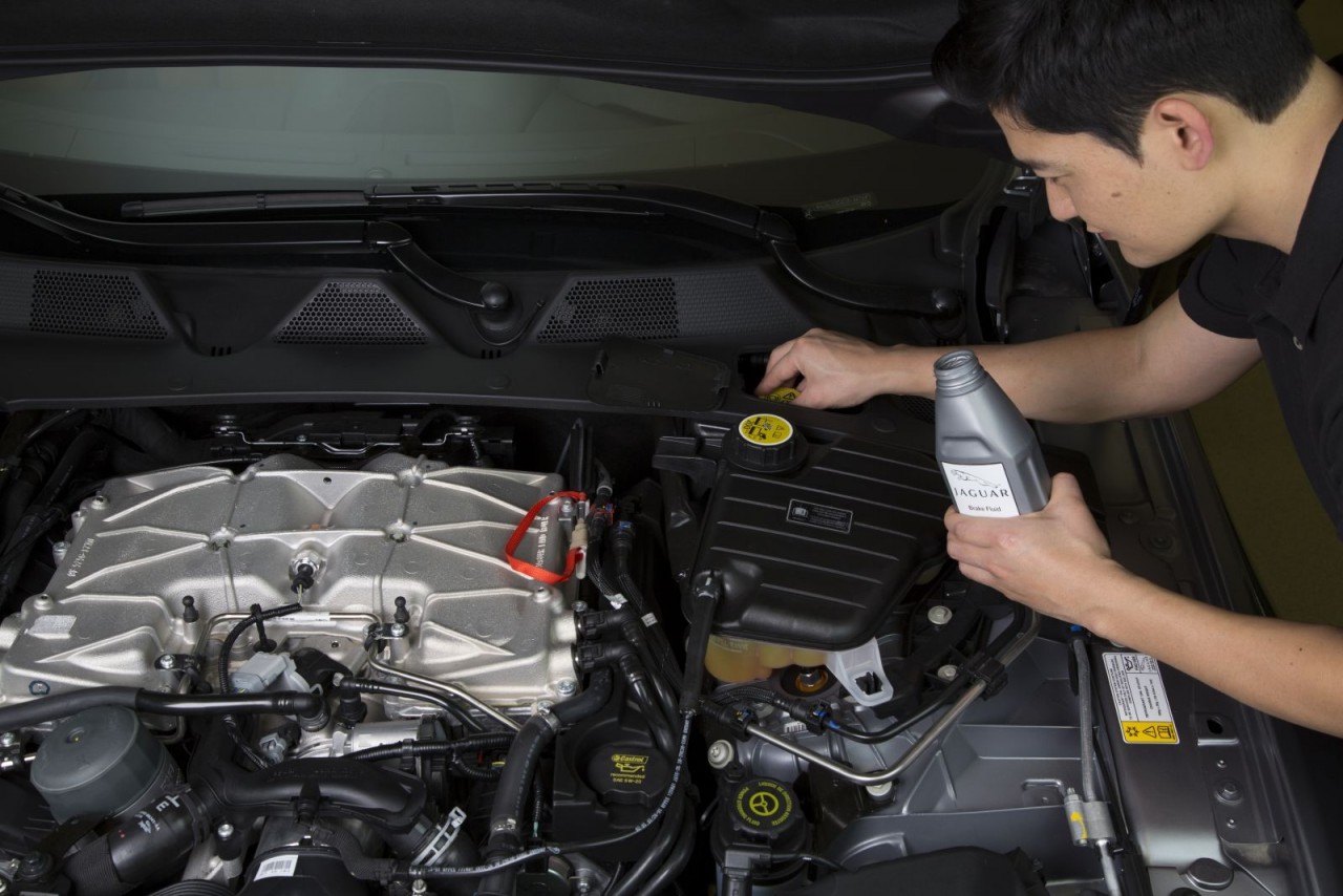 chuong trinh khuyen mai dich vu mua thu tu jaguar land rover viet nam