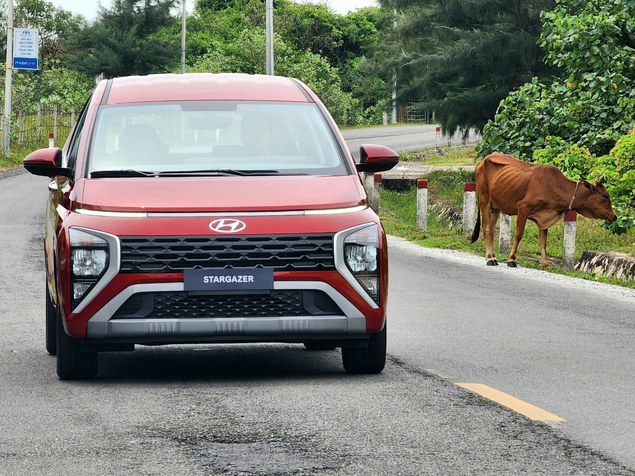 Creta là mẫu xe Hyundai duy nhất tăng trưởng doanh số cộng dồn 6 tháng đầu năm Creta là mẫu xe Hyundai duy nhất tăng trưởng doanh số cộng dồn 6 tháng đầu năm