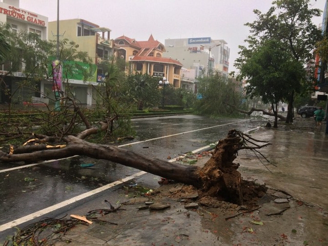 Đường phố ngổn ngang, nhà mất mái khi bão số 12 đổ bộ duong pho ngon ngang nha mat mai khi bao so 12 do bo