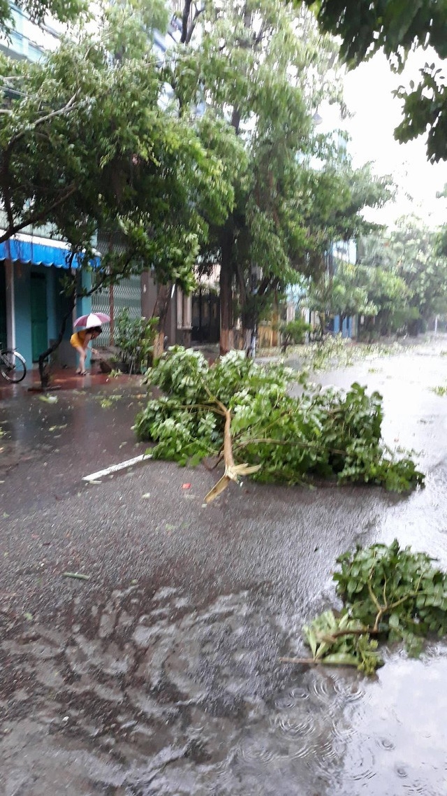 Đường phố ngổn ngang, nhà mất mái khi bão số 12 đổ bộ duong pho ngon ngang nha mat mai khi bao so 12 do bo