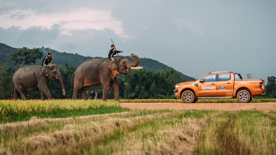 Ford Ranger 2.2L AT 4x4 đã có biến thể Wildtrak với giá 866 triệu VNĐ ford ranger 22l at 4x4 da co bien the wildtrak voi gia 866 trieu vnd