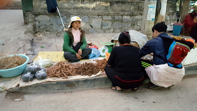p2 thu ta chuyen toi ke 9047