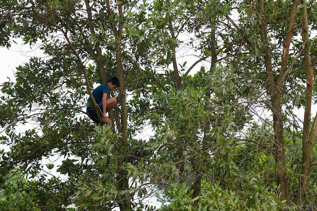voc 2015 nhung khoanh khac thu vi trong giai dau