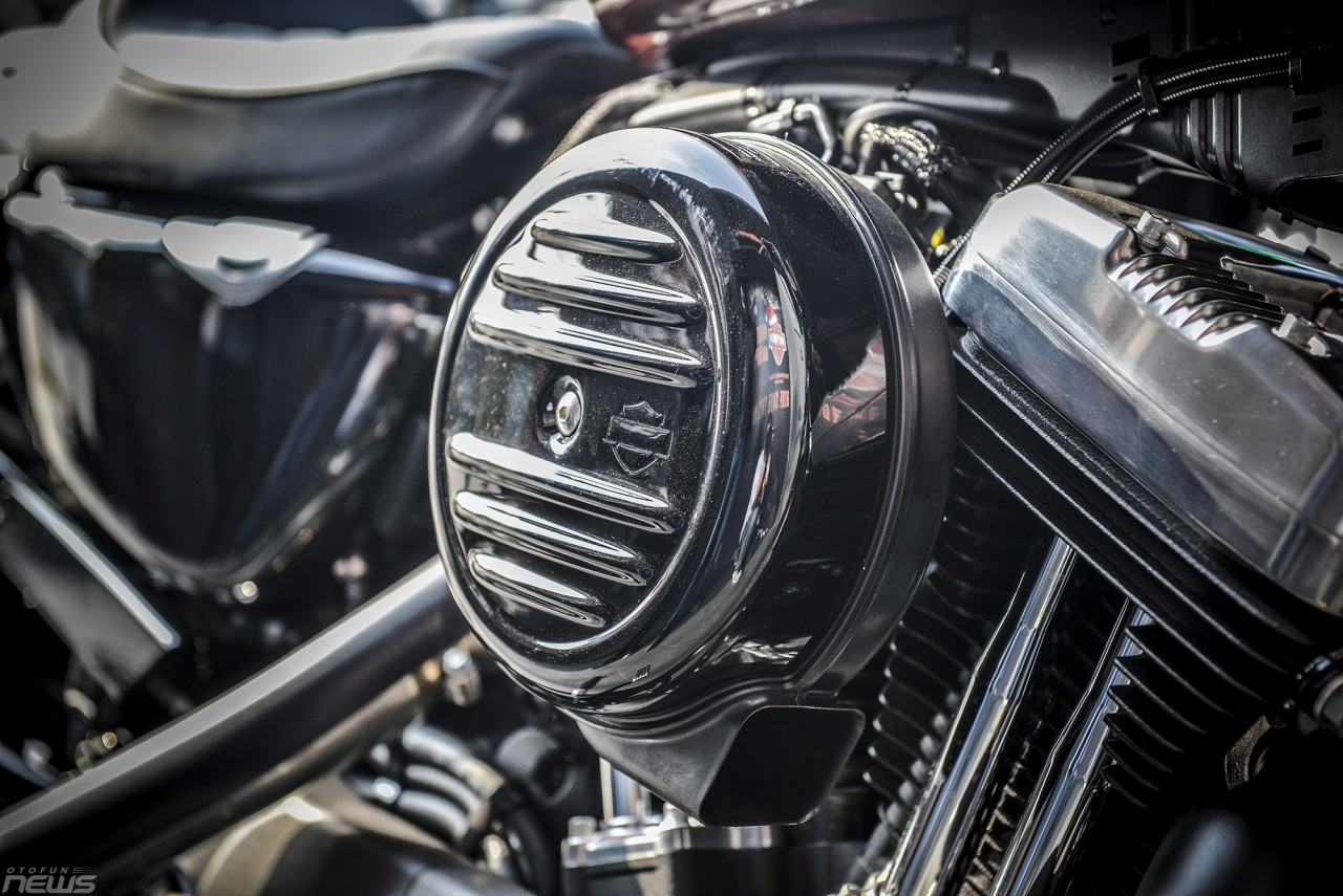 harley davidson iron 1200 khoe dang duoi nang xuan