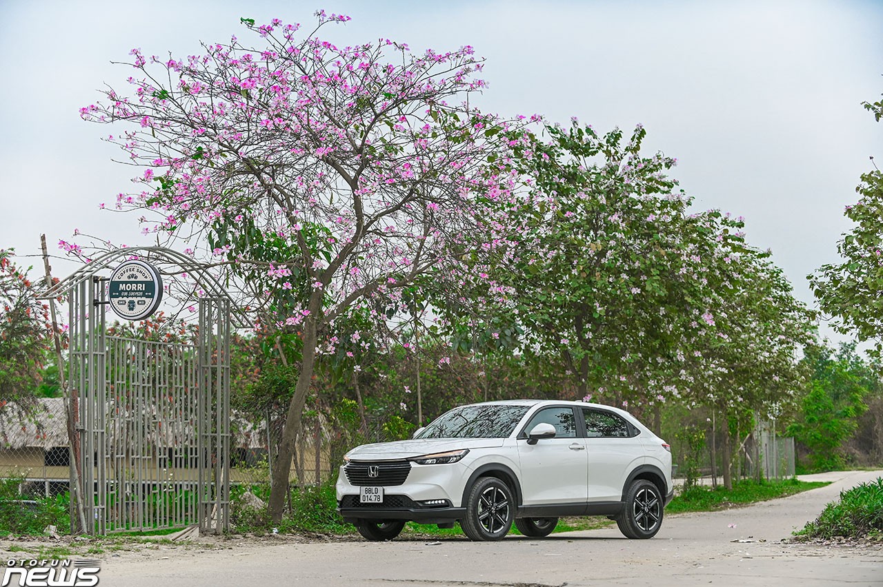 Honda Việt Nam ưu đãi 50% lệ phí trước bạ cho ôtô nhập khẩu Honda Việt Nam ưu đãi 50% lệ phí trước bạ cho ôtô nhập khẩu
