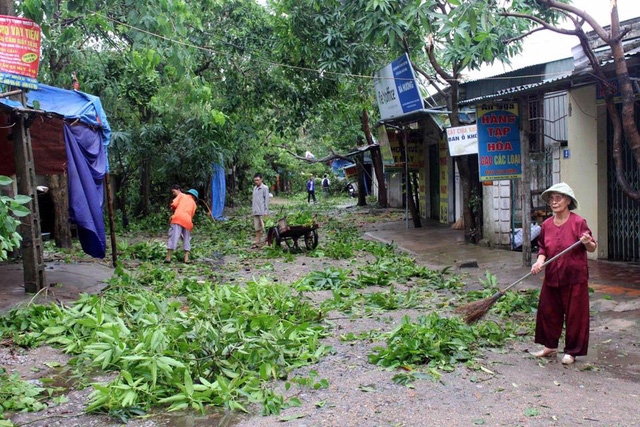 Hà Tĩnh: Bão số 2 quét qua, cây đổ ngổn ngang, đường phố "tan tác" ha tinh bao so 2 quet qua cay do ngon ngang duong pho tan tac