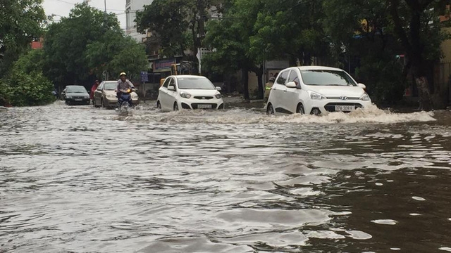Hà Tĩnh: Bão số 2 quét qua, cây đổ ngổn ngang, đường phố "tan tác" ha tinh bao so 2 quet qua cay do ngon ngang duong pho tan tac