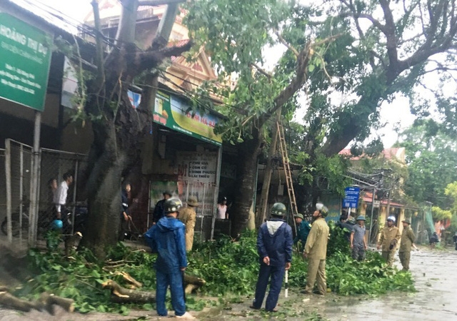 Hà Tĩnh: Bão số 2 quét qua, cây đổ ngổn ngang, đường phố "tan tác" ha tinh bao so 2 quet qua cay do ngon ngang duong pho tan tac