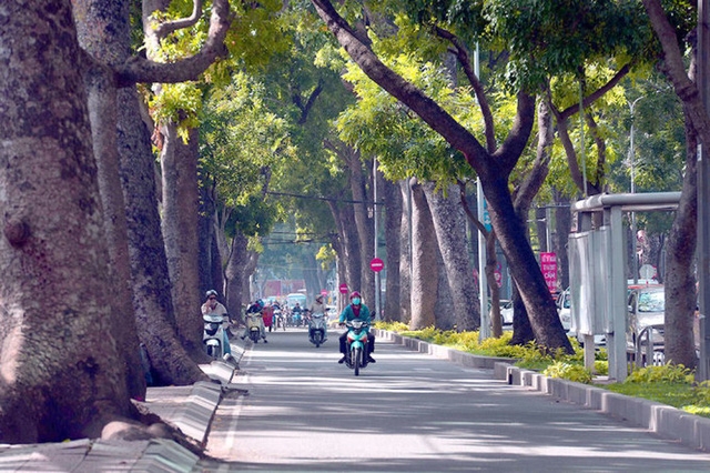 TP Hồ Chí Minh cấm đường nhiều phố trung tâm trong đêm giao thừa tp ho chi minh cam duong nhieu pho trung tam trong dem giao thua
