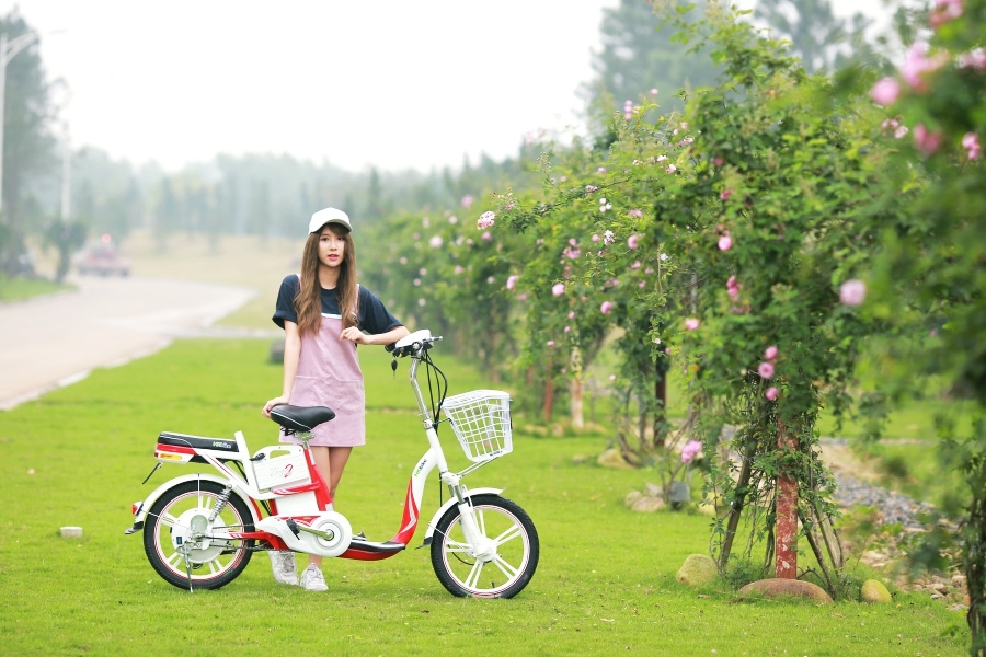 Xe điện hai bánh PEGA nỗ lực "Việt hoá" xe dien hai banh pega no luc viet hoa