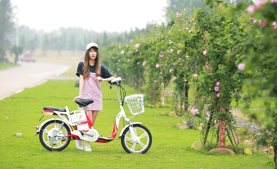 Xe điện hai bánh PEGA nỗ lực "Việt hoá"