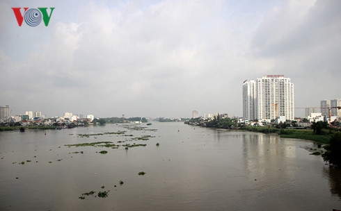 TP. Hồ Chí Minh sắp có tuyến buýt sông đầu tiên sap co tuyen buyt song dau tien o tp hcm