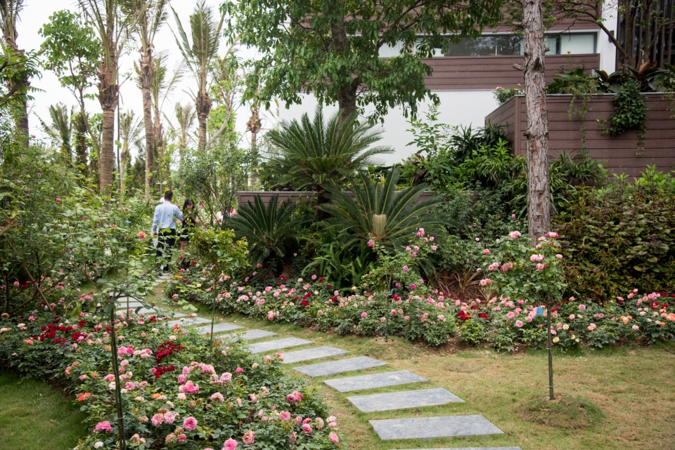 nghi duong 5 sao khong can mang vi khong lo do xang o flamingo dai lai resort
