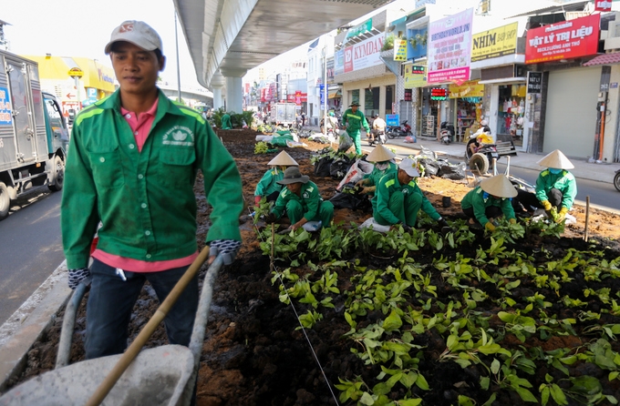tp ho chi minh cau vuot nga sau o cua ngo tan son nhat xong truoc hai thang