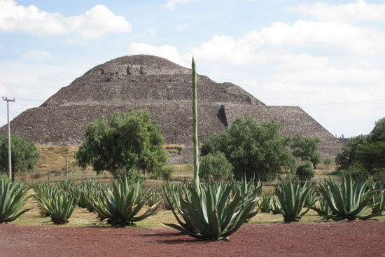 Th&aacute;p mặt trăng nh&igrave;n từ xa.