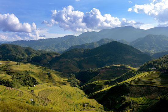 Những thửa ruộng bậc thang v&agrave;ng &oacute;ng trong &aacute;nh chiều t&agrave;. Ảnh: Trube