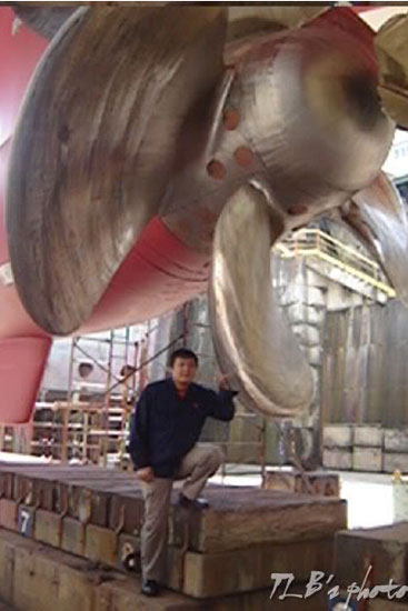 Ch&acirc;n vịt định bước, t&agrave;u khoảng 1 vạn tấn.