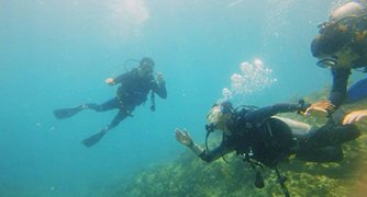 Xuyên Việt hai bánh phiêu lưu ký (Phần 1)