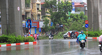 Mưa bão "hạ  gục" 667 cây xanh, phá hỏng nhiều phương tiện