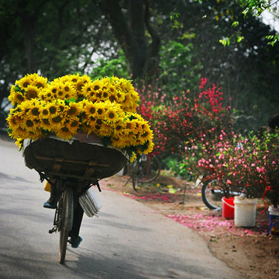 Otofun News